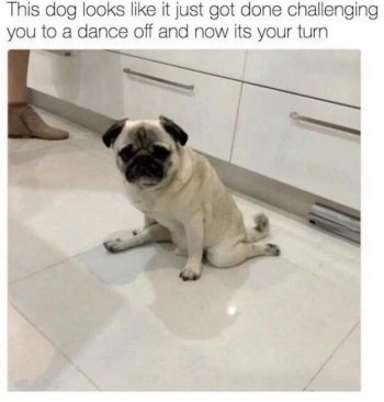 1769376940416.jpeg