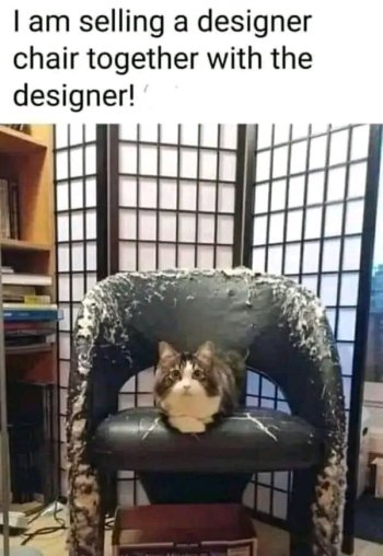 1769383157720.jpeg