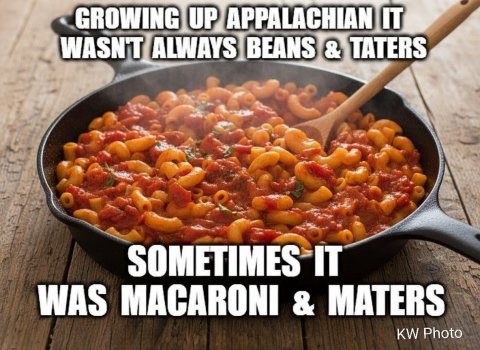 1769384900460.jpeg