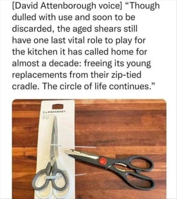 1769521531145.jpeg