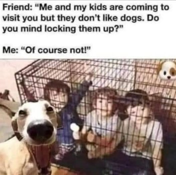 1769521825731.jpeg
