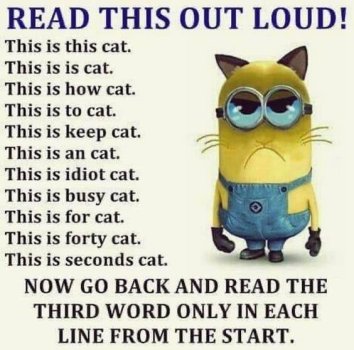 1769523605031.jpeg