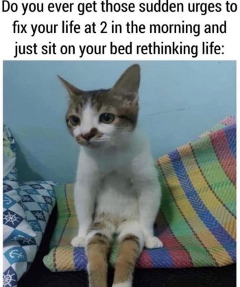1769533742161.jpeg