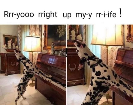 1769543002039.jpeg