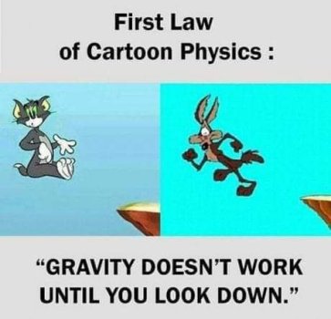 1769548676125.jpeg