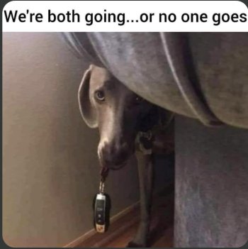 1769629773425.jpeg