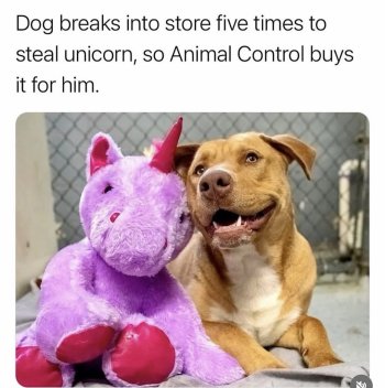 1769643936344.jpeg