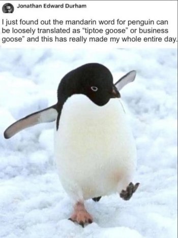 1769652304629.jpeg
