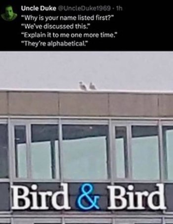 1769652683066.jpeg