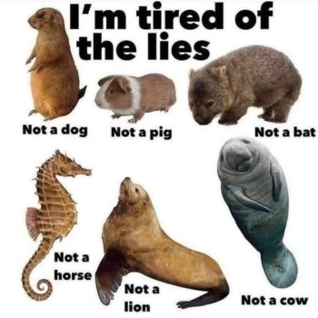 1769720774113.jpeg