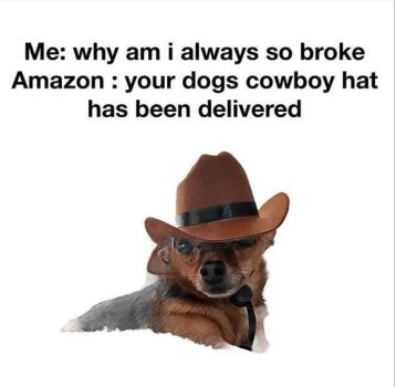 1769750173565.jpeg