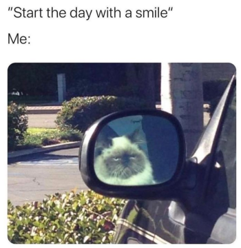 1769770896765.png