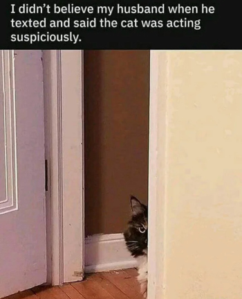 1769771100723.png