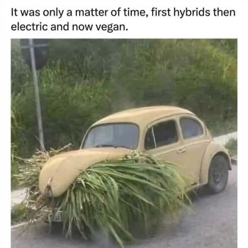 1769777297216.jpeg