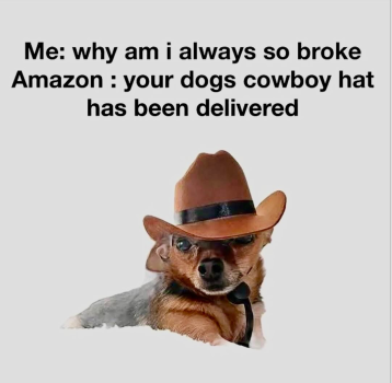 1769783309050.png