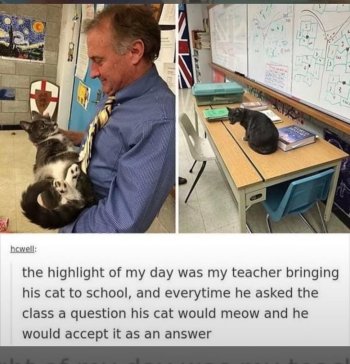 1769789222973.jpeg