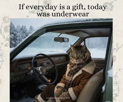 1769804417389.jpeg