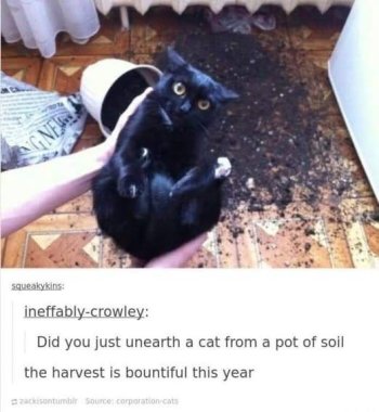 1769810317768.jpeg