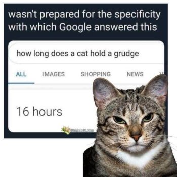 1769862425069.jpeg
