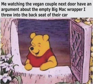 1769934591916.jpeg