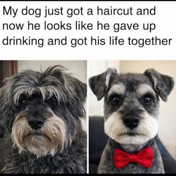 1769960766420.png