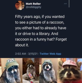 1769986127978.jpeg