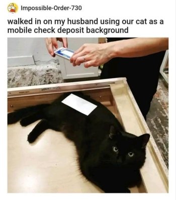 1769986621501.jpeg