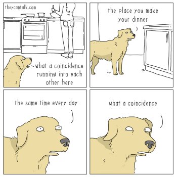 1770007172964.jpeg
