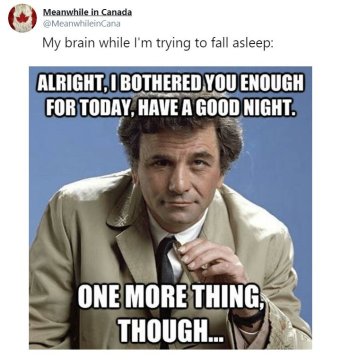 1770090277819.jpeg