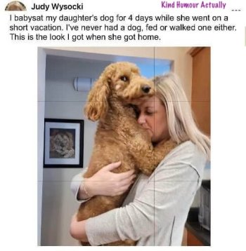 1770234873088.jpeg