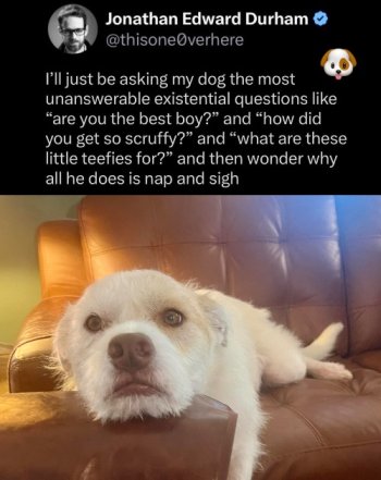 1770235541514.jpeg