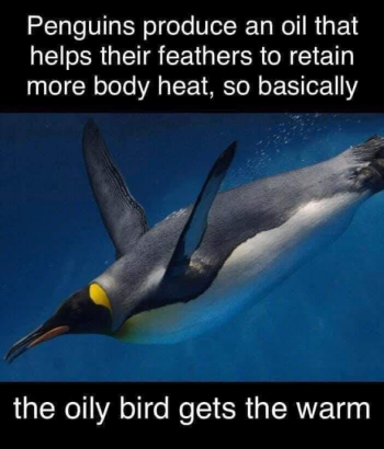1770262784221.png