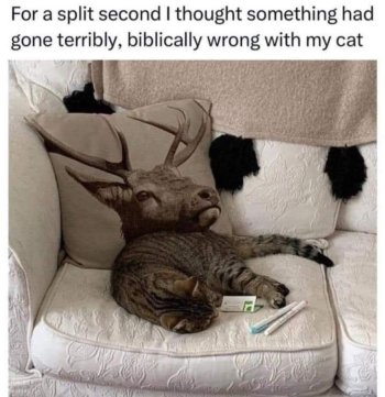 1770313425941.jpeg