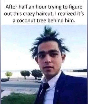 1770385023168.jpeg