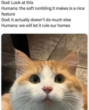 1770409707389.jpeg