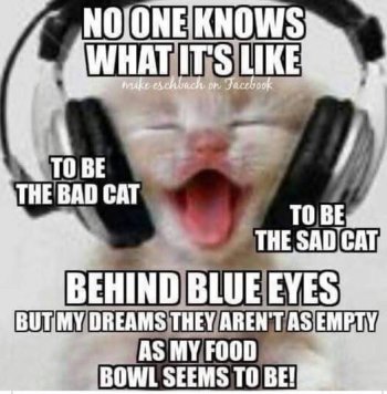 1770414859859.jpeg