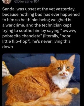 1770474419337.jpeg