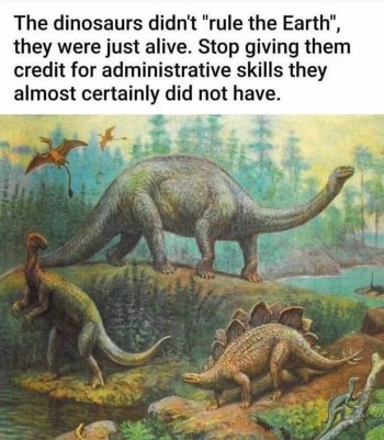 1770499753804.jpeg