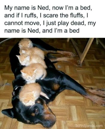 1770526906040.jpeg
