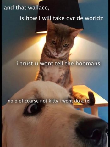 1770551000584.jpeg