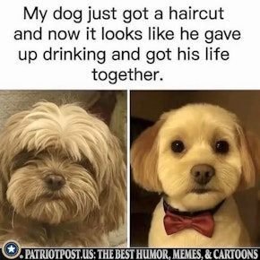 1770595533597.jpeg