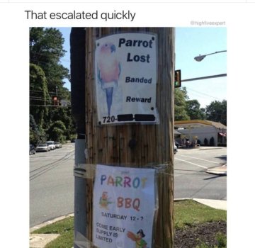 1770778237793.jpeg