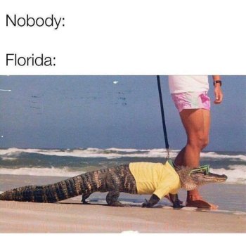 1770847385711.jpeg