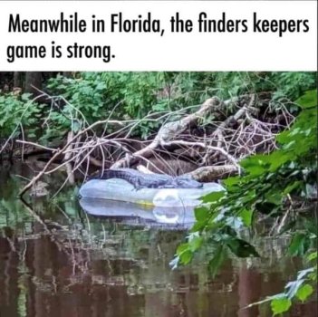 1770848165678.jpeg