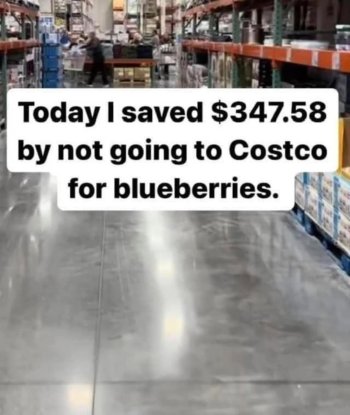 1770866512368.jpeg