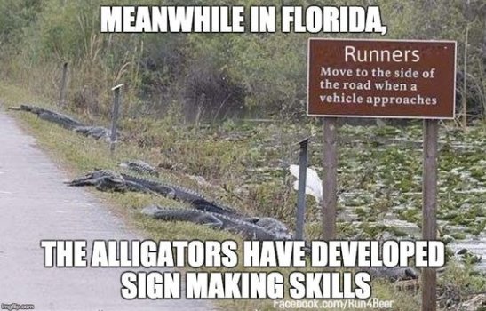 1770969198007.jpeg