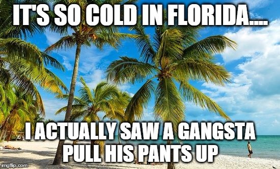 1770969277060.jpeg