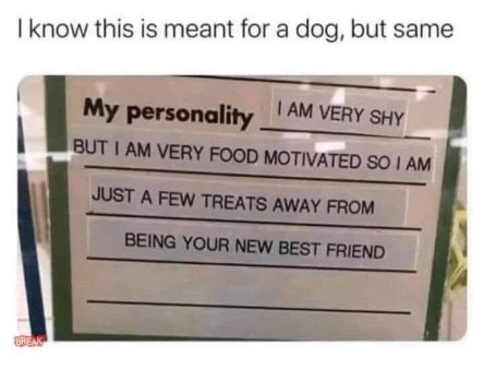 1771012581269.jpeg