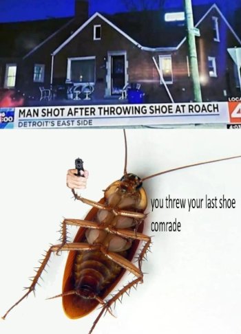 1771030245863.jpeg