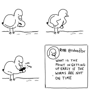 1771070873019.jpeg